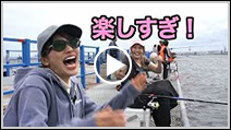 tv638p.jpg